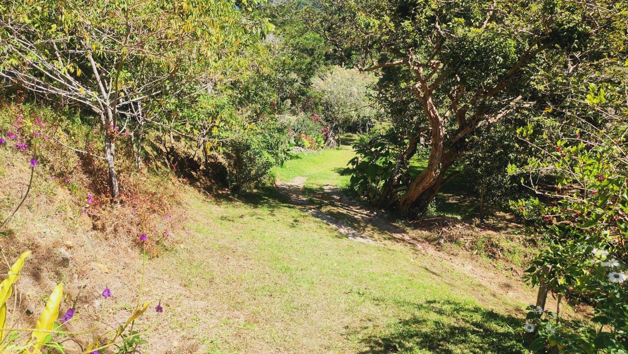 Hospedajes Richie Eco Camp Providencia Exteriér fotografie