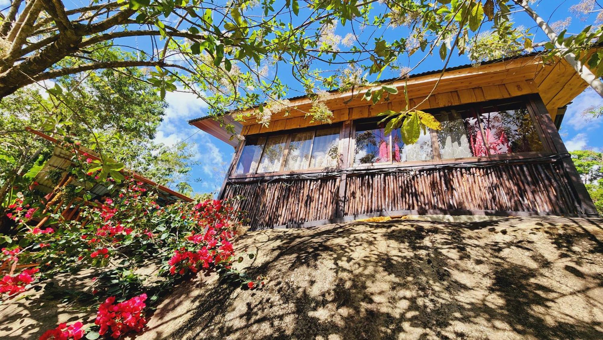 Hospedajes Richie Eco Camp Providencia Exteriér fotografie